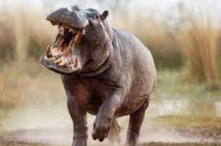 Db medias 2022 05 28t183408.055