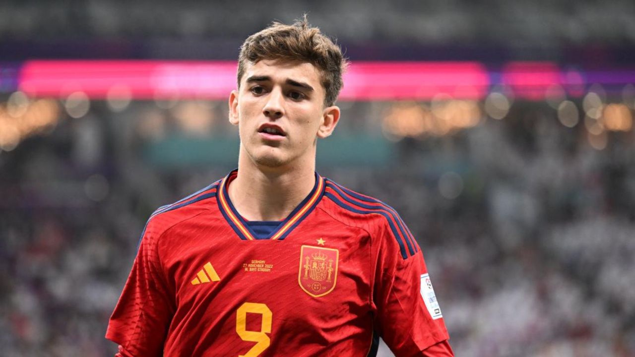 Copie de dbmedias photos (12)