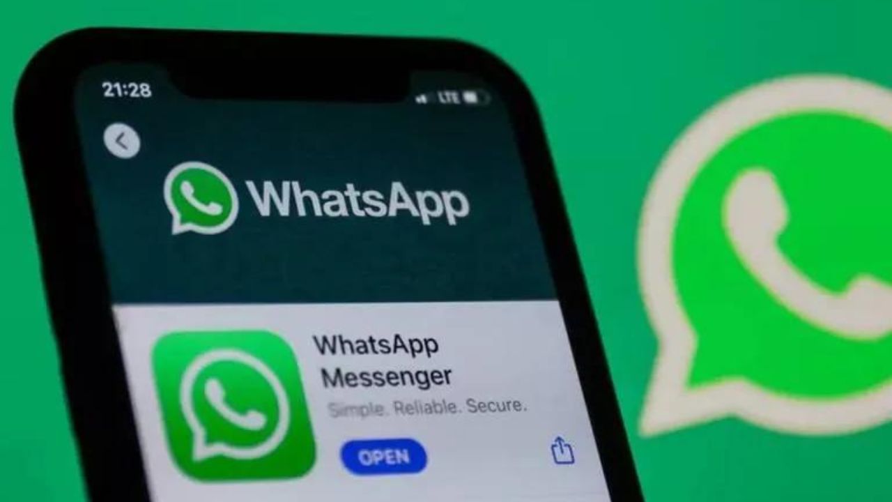 Copie de dbmedias photos (15)