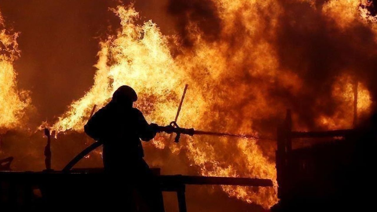Incendie à lion