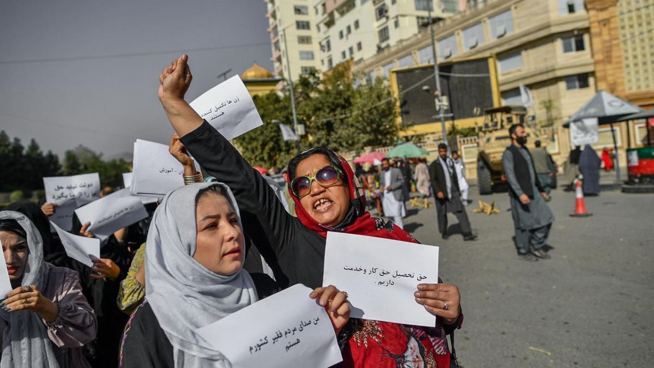 Copie de dbmedias photos (7)