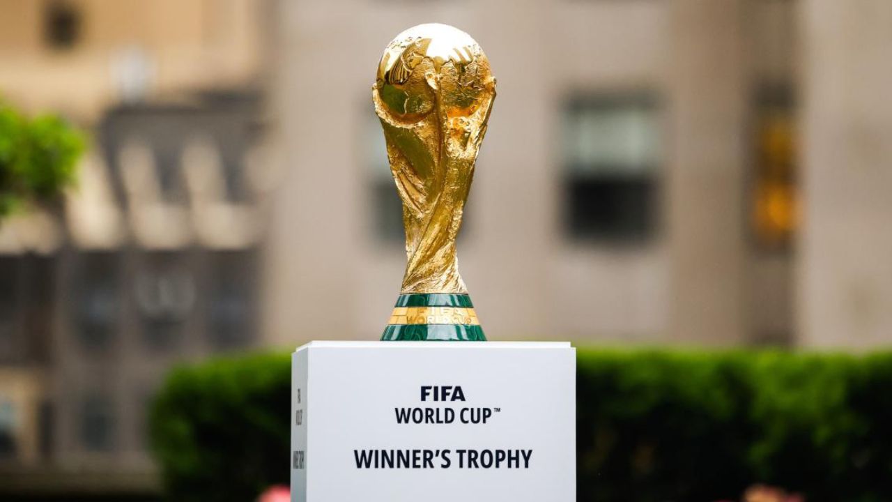 Copie de dbmedias photos (8)