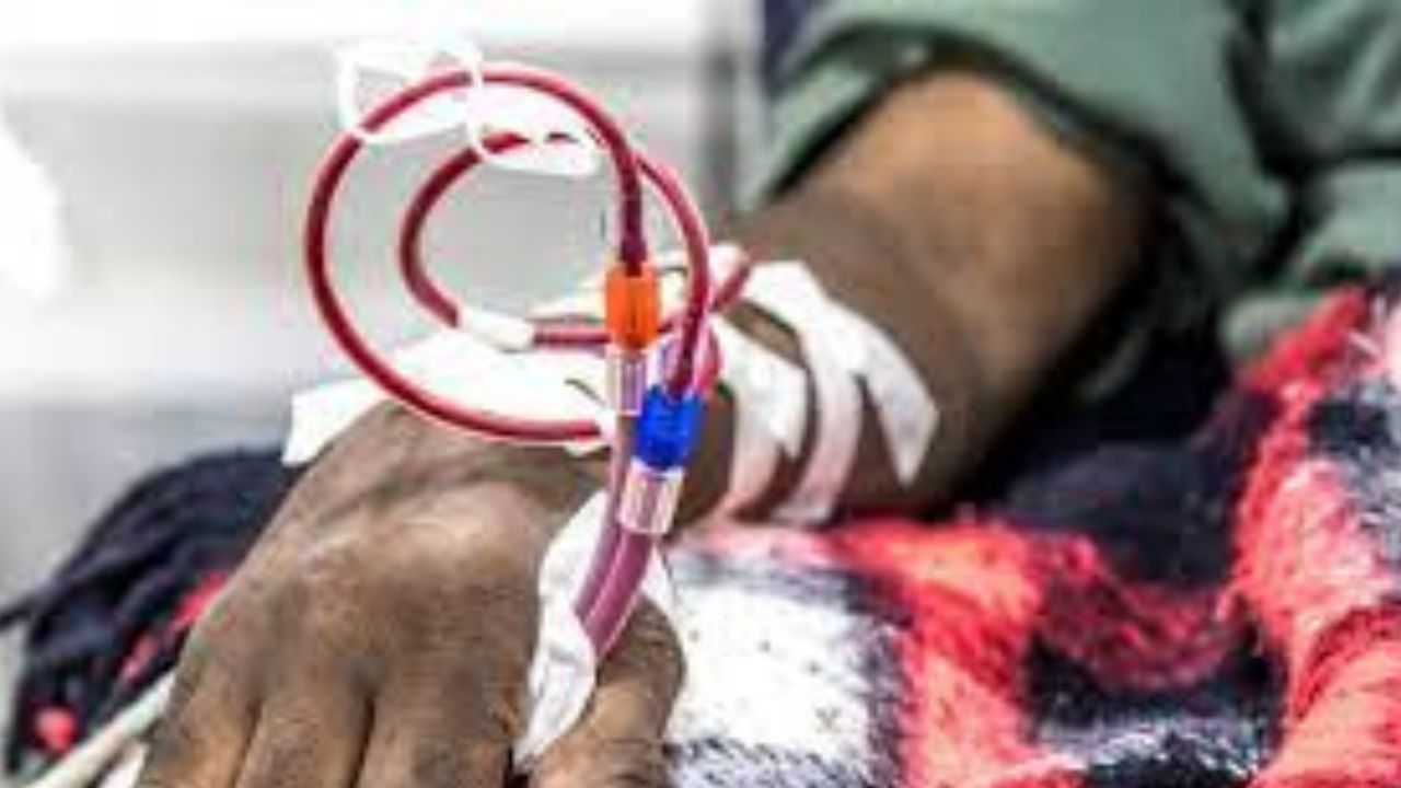 Copie de dbmedias photos (11)