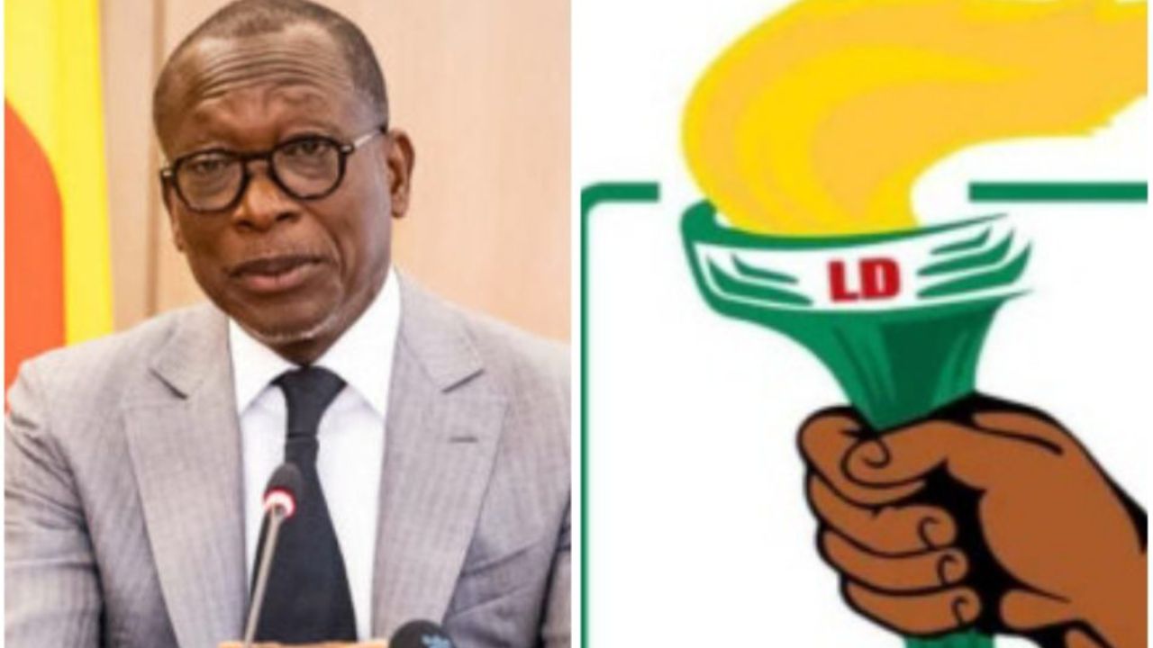 Copie de dbmedias photos (9)