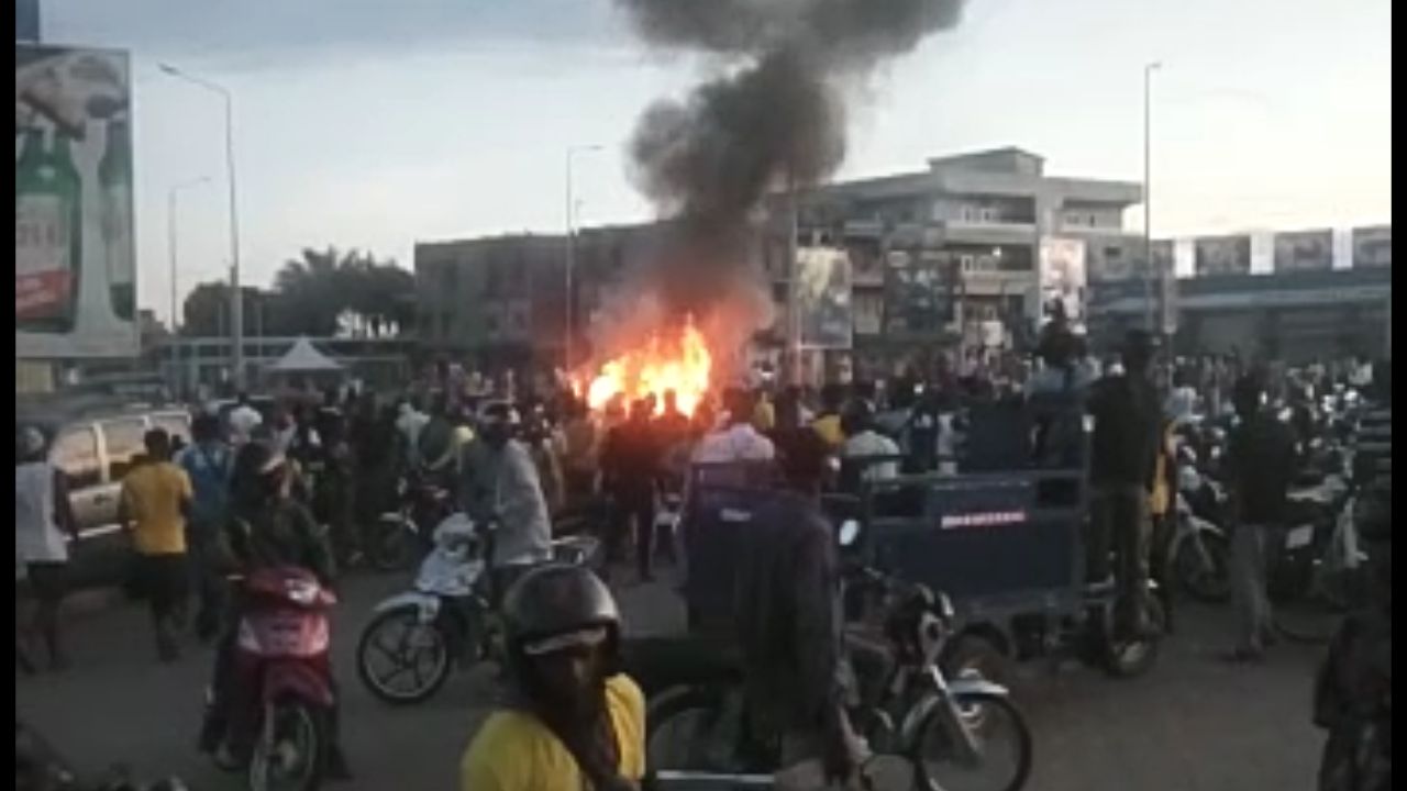 Copie de dbmedias photos (3)