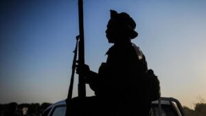 Attaque terroriste au Niger : des dizaines de personnes tuées, plus de 500 têtes de bétail emportées