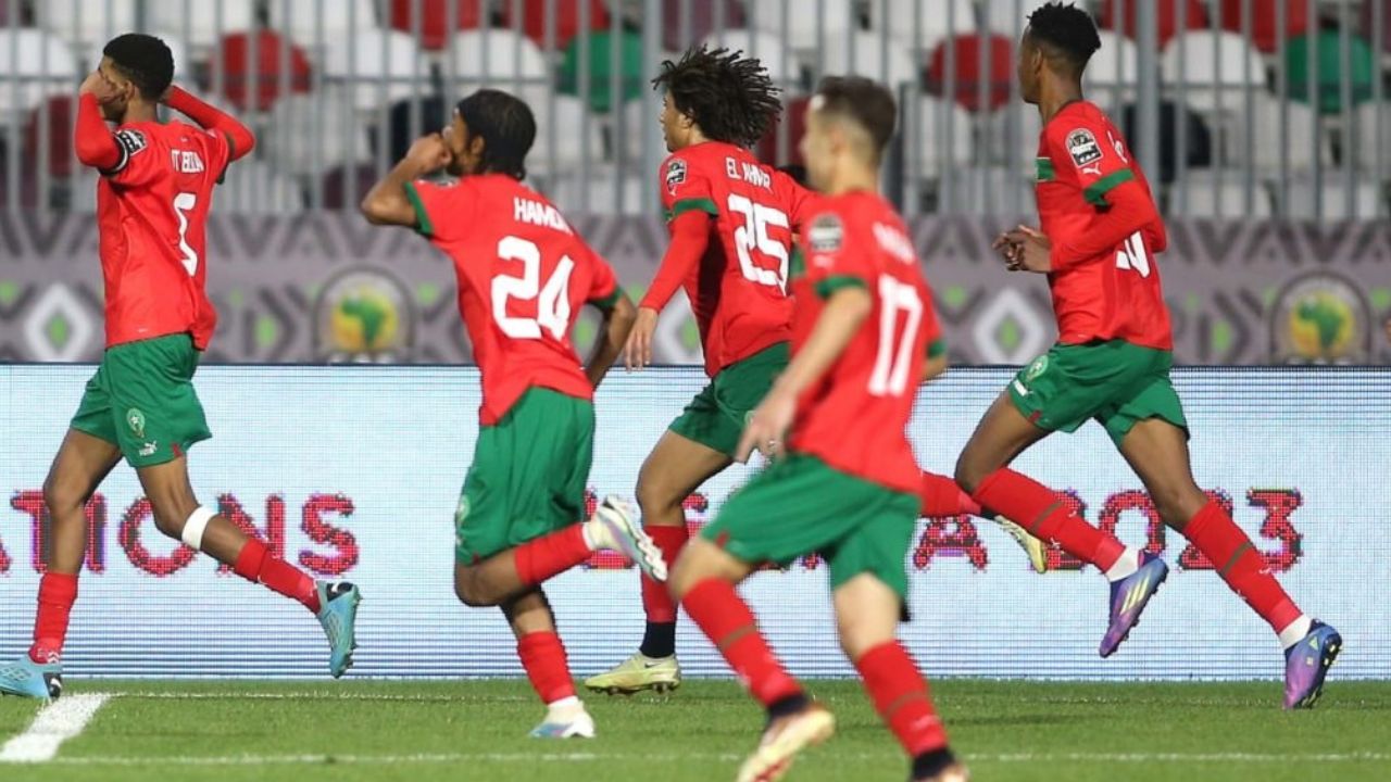 Lionceaux de l’atlas