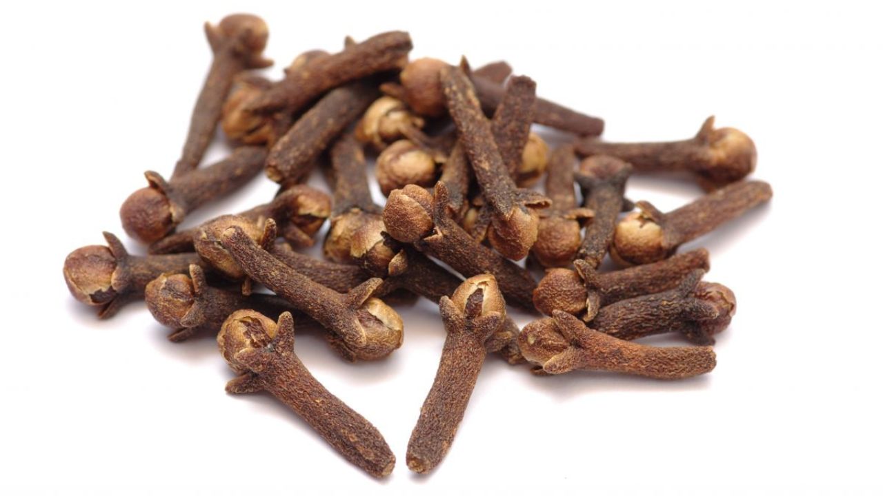 Clou de girofle