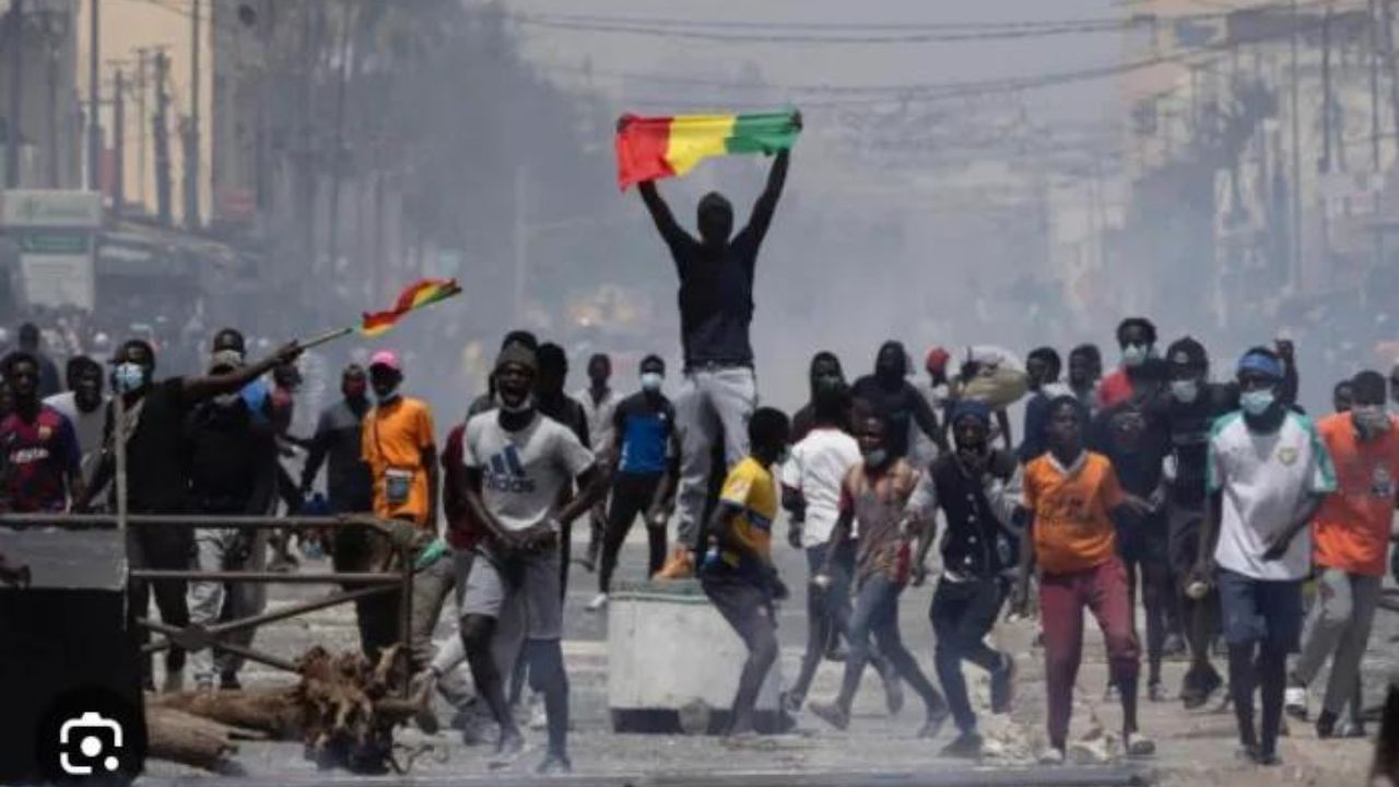 Copie de dbmedias photos (8)