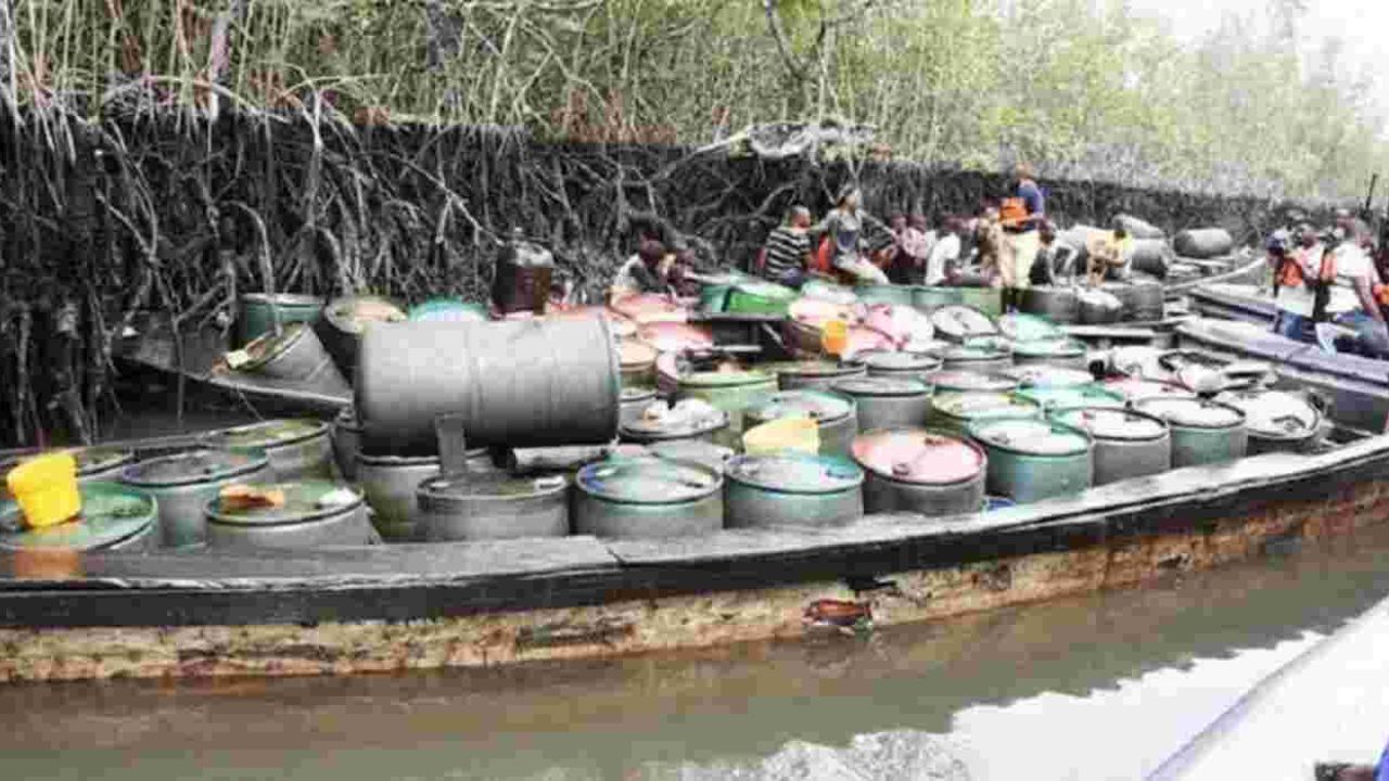 Copie de dbmedias photos (9)