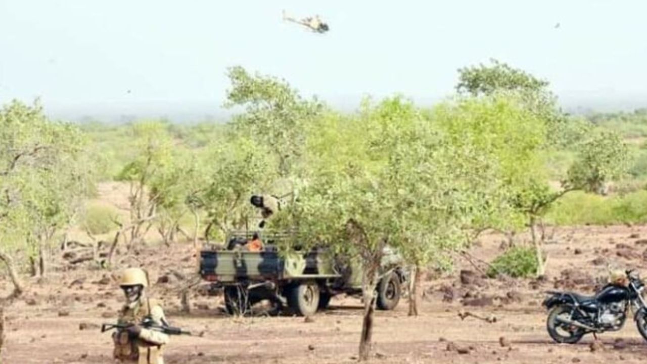 Copie de dbmedias photos (11)