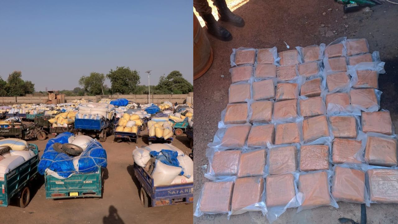 Chanvre indien et tricycles