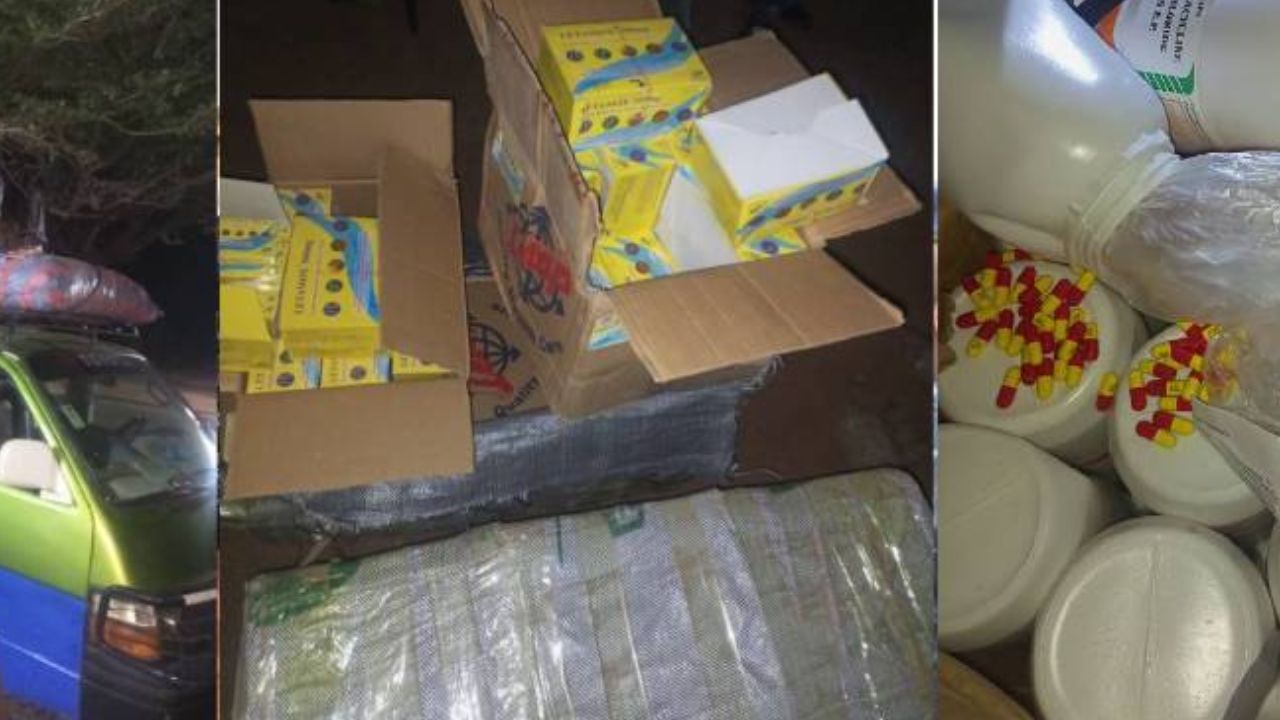 Faux médicaments et d'espèces végétales protégées