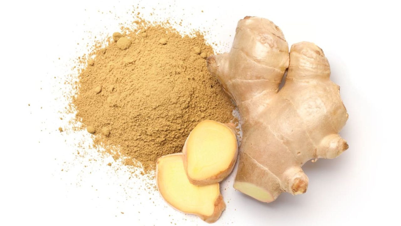 Copie de dbmedias photos (13)