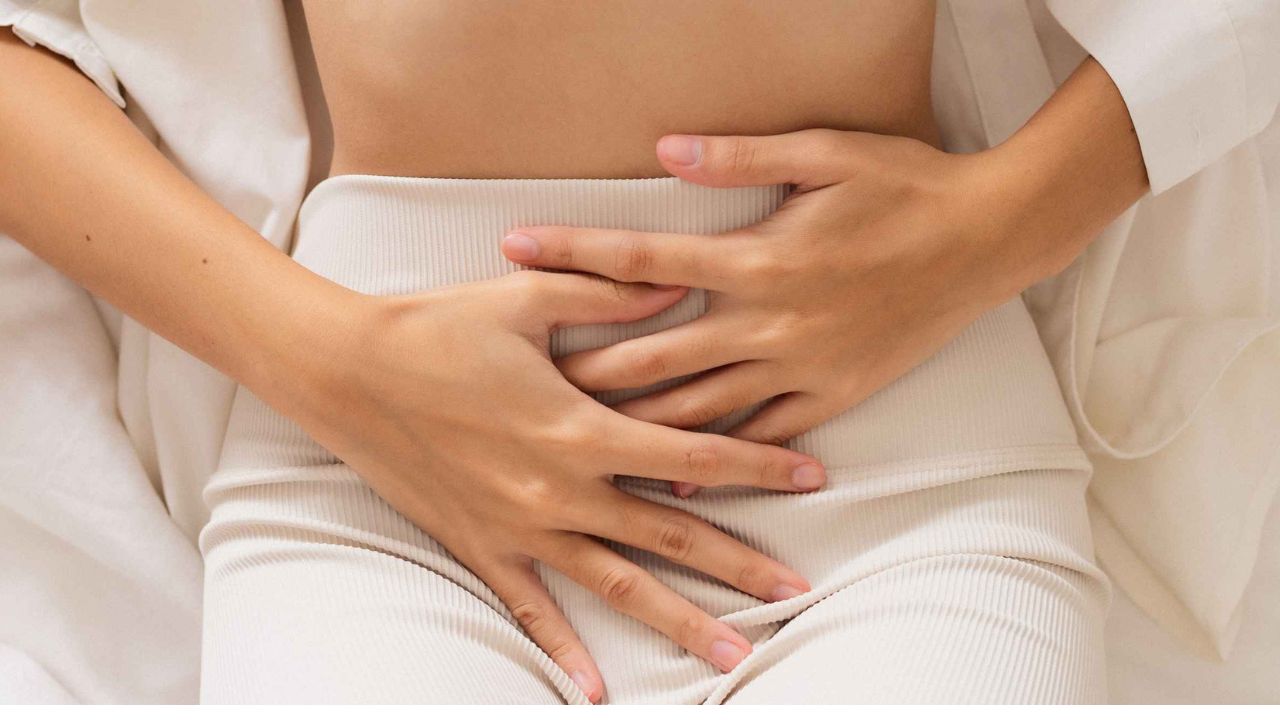 Copie de dbmedias photos (14)