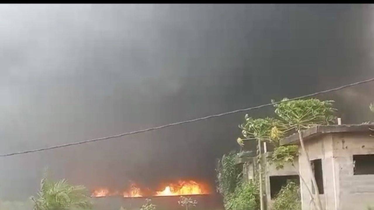 Copie de dbmedias photos (21)