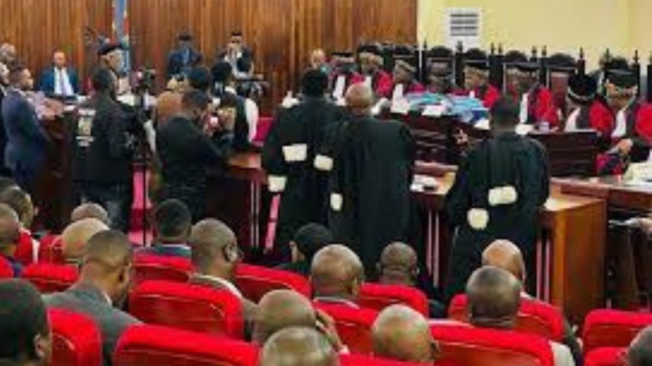 Copie de dbmedias photos (22)