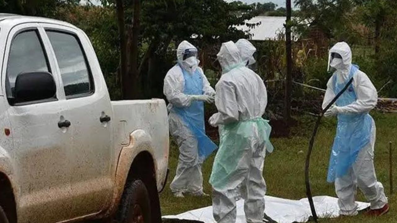 Maladie mystérieuse