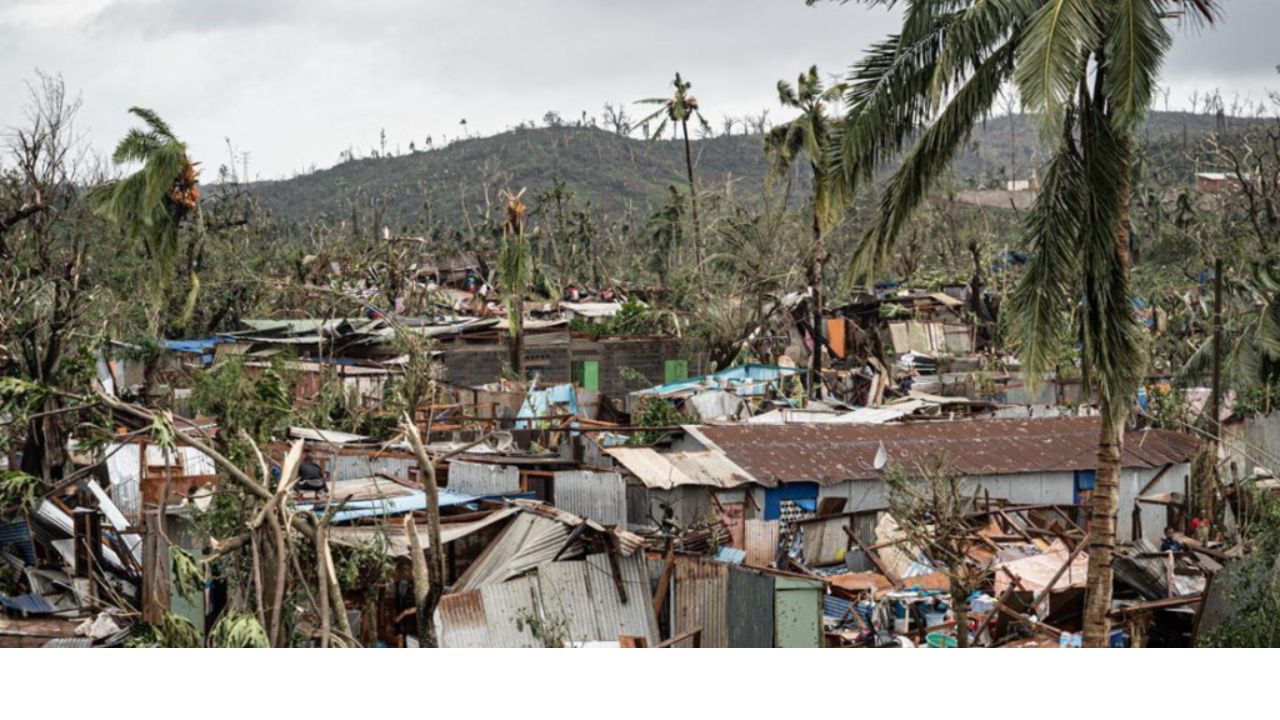 Copie De Dbmedias Photos (5)