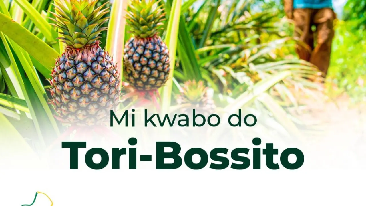 Tori-Bossito