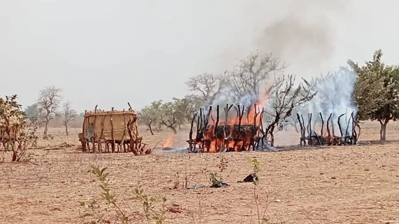 Conflits agro-pastoraux au Bénin