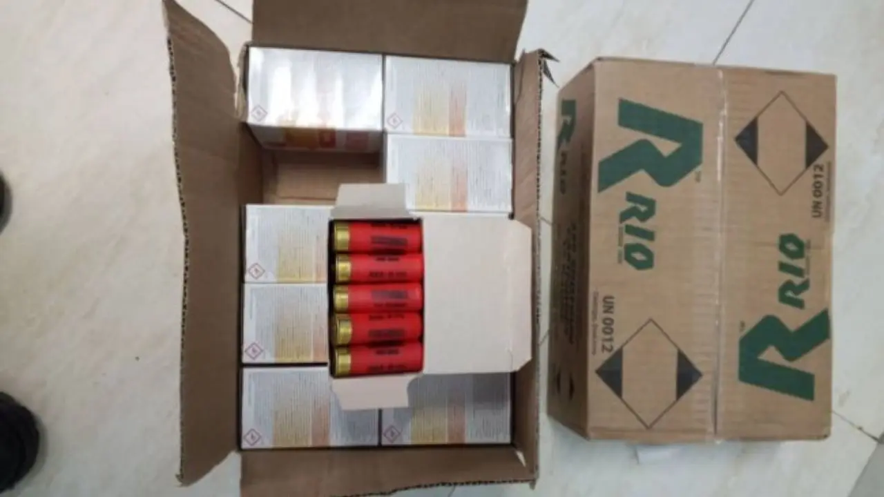 Copie de dbmedias photos - 2025-09-20T004950.888