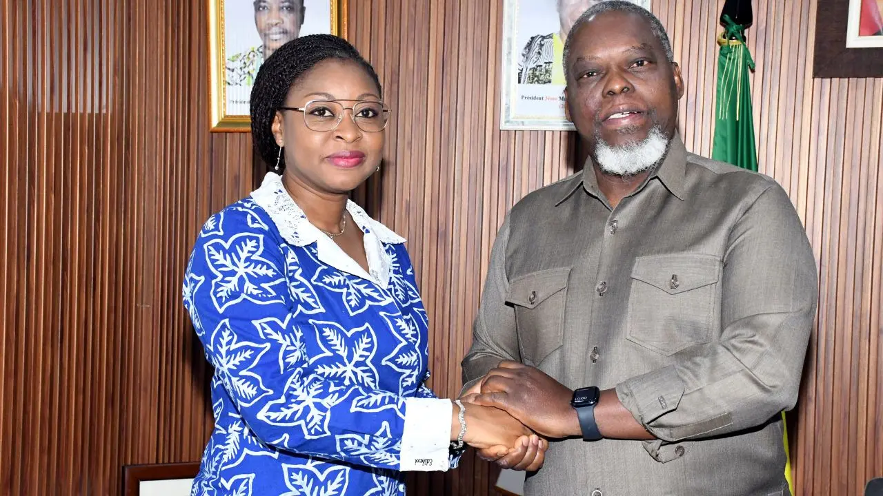 Copie de dbmedias photos - 2025-12-18T212222.514