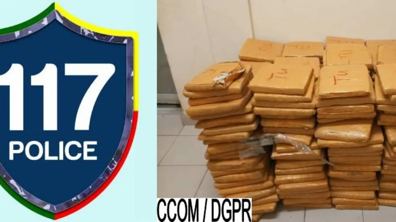 Copie de dbmedias photos - 2026-01-14T164550.055