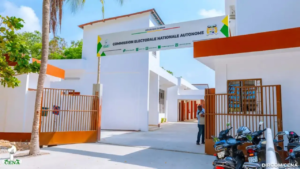 Présidentielle 2026 au Bénin : la campagne électorale officiellement lancée par la CENA