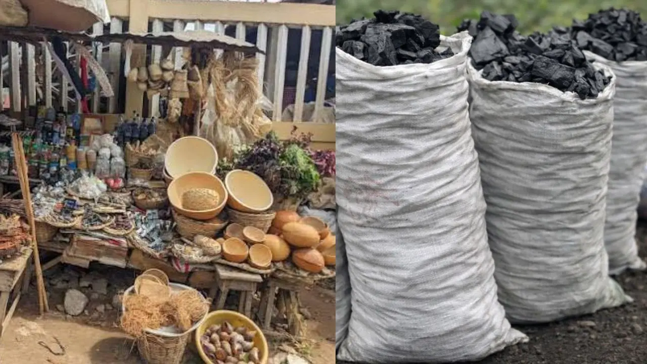 marché moderne en projet pour le charbon et la pharmacopée