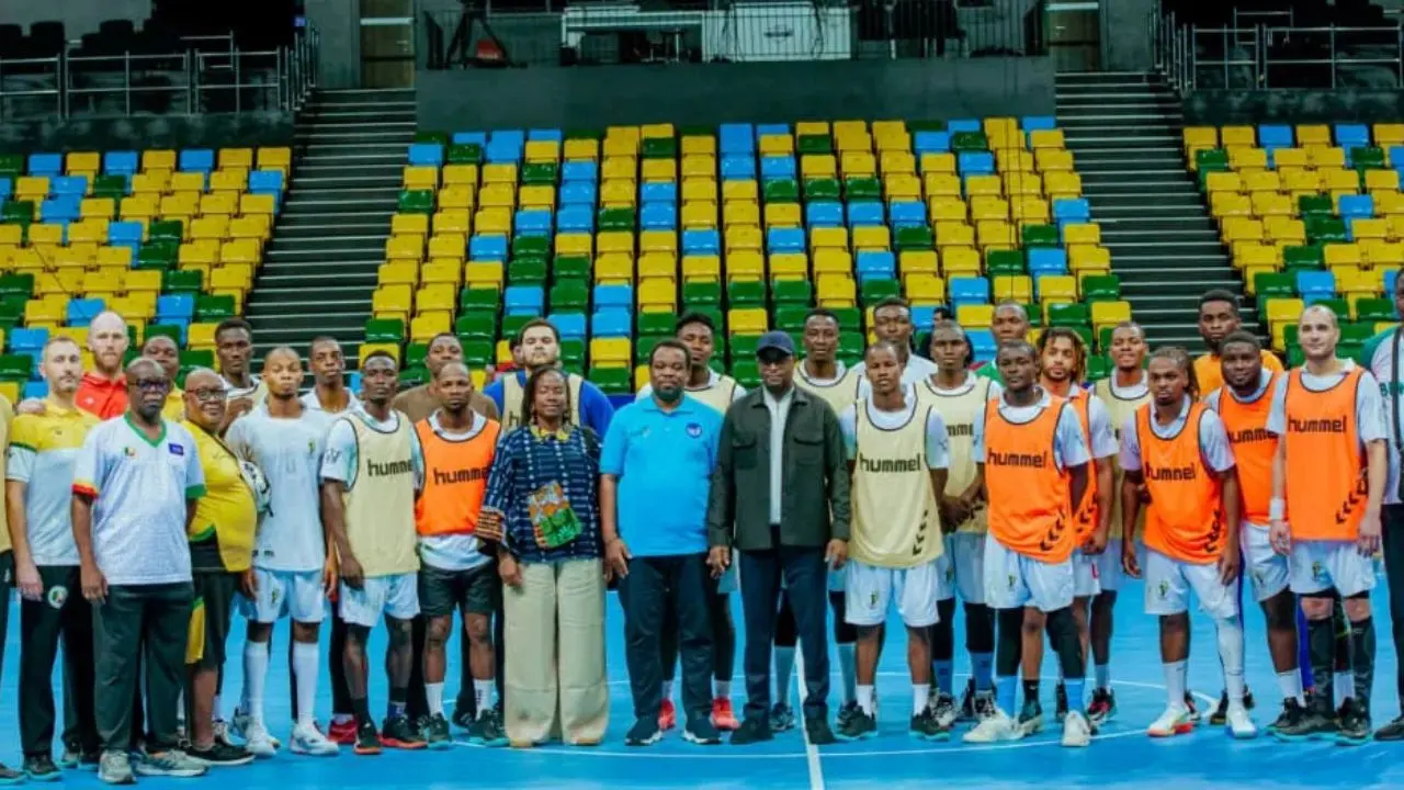 Handball/Les Guépards