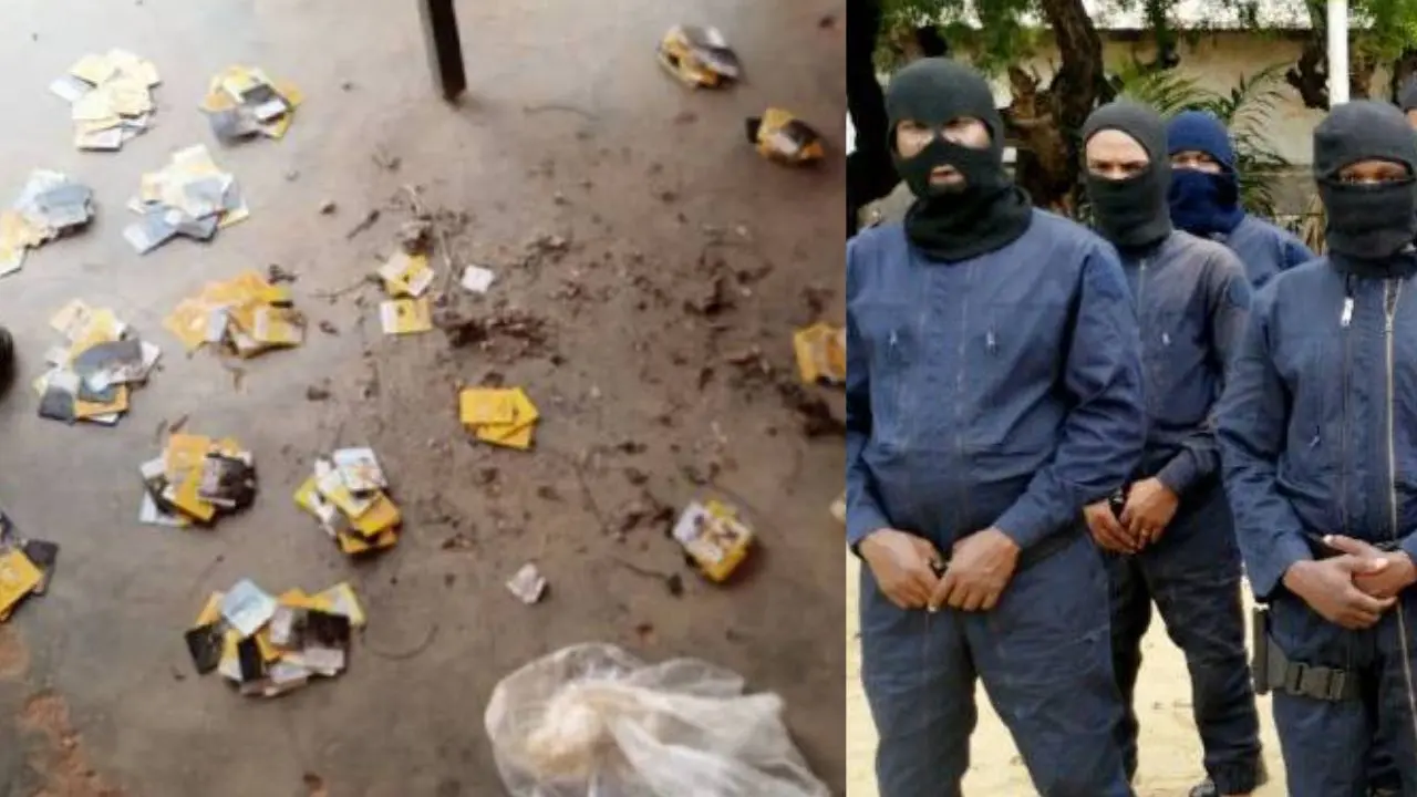 cartes SIM éparpillées