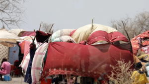 Tchad : une dispute autour d’un puits vire au drame, plus de 40 morts