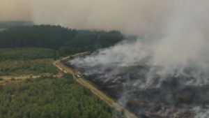 Belgique : plus de 2 700 hectares ravagés par un incendie dans les Hautes Fagnes