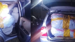 Bénin : un véhicule en plein chargement de chanvre indien intercepté à Sèmè-Podji