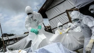 Nigéria/Fièvre de Lassa : 252 morts et plus de 1 000 cas enregistrés en 2026